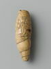 coquillage, image 2/6