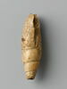 coquillage, image 4/6