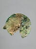 disque, image 1/6