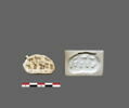 cachet, image 2/3