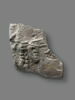 sculpture, image 2/2