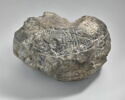 crapaudine, image 1/6