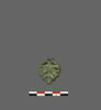 cachet, image 2/3