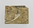 plaquette, image 3/3