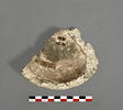 vase, image 2/3