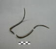 fourche, image 1/2