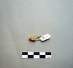 scarabée ; cachet, image 1/2