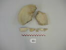 vase, image 1/2