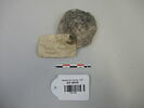 vase  ; jeton, image 1/2