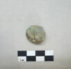 perle, image 1/3