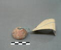 fusaïole, image 2/2