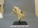 vase ; figurine, image 7/12