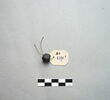 intaille, image 1/2