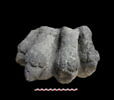 sculpture, image 1/2