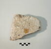 couvercle d'ossuaire, image 1/2