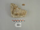 couvercle d'ossuaire, image 2/2