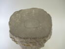 cippe, image 3/5