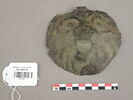 masque ; applique, image 1/2