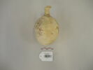 vase, image 3/3