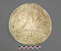 vase, image 6/8