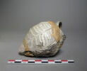 vase, image 2/2