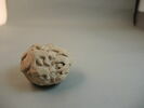 bouchon de vase
scellement, image 5/6