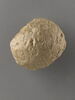 bulle-enveloppe ; calculus, image 6/10