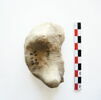 maquette ; miniature, image 2/2