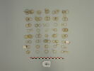 anneau, image 1/2