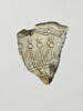 coquillage, image 1/2