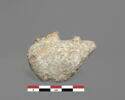 vase, image 1/2