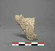 vase, image 2/2