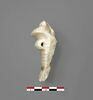 vase, image 2/2