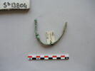 tige, image 2/2