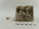 colonne, image 1/2