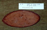 outil de potier, image 2/2