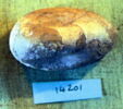 poids, image 5/5