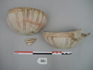 vase, image 1/2