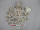 vase, image 1/2