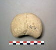 hache, image 1/2