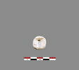 perle, image 1/2