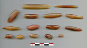 perle, image 3/3