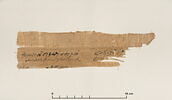 papyrus documentaire, image 2/2