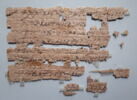 papyrus documentaire, image 1/2