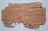 papyrus documentaire, image 2/2