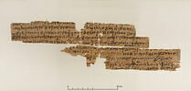 papyrus documentaire, image 1/2