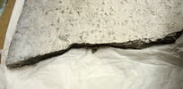 moulage ; empreinte moderne, image 3/3