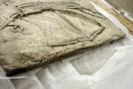 moulage ; sarcophage, image 4/4