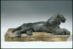 Tigre couché, image 1/4