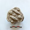maquette = modèle ; miniature, image 1/2